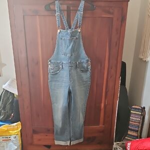 Women's Blue Denim Overalls